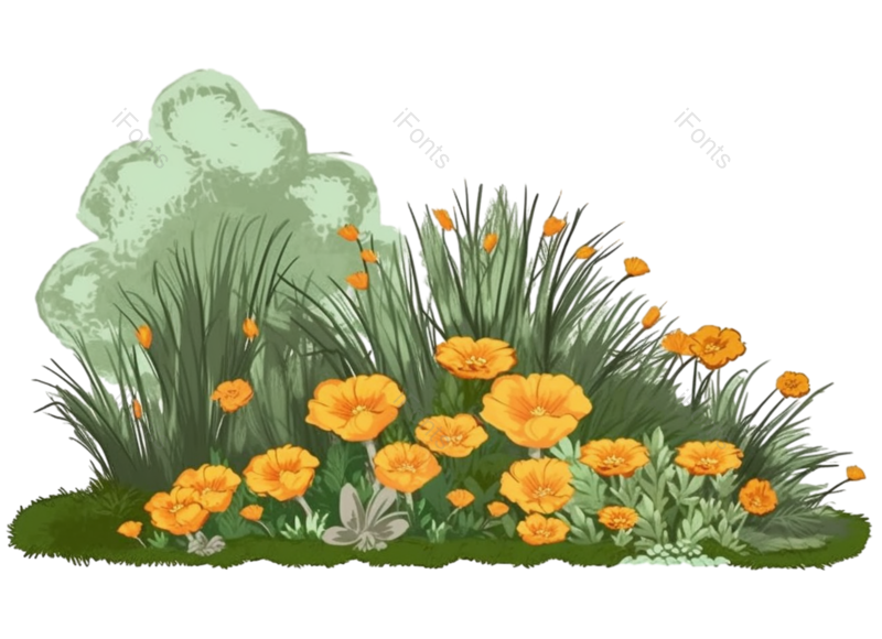叶子图片,装饰元素,元素PNG,清新免抠素材